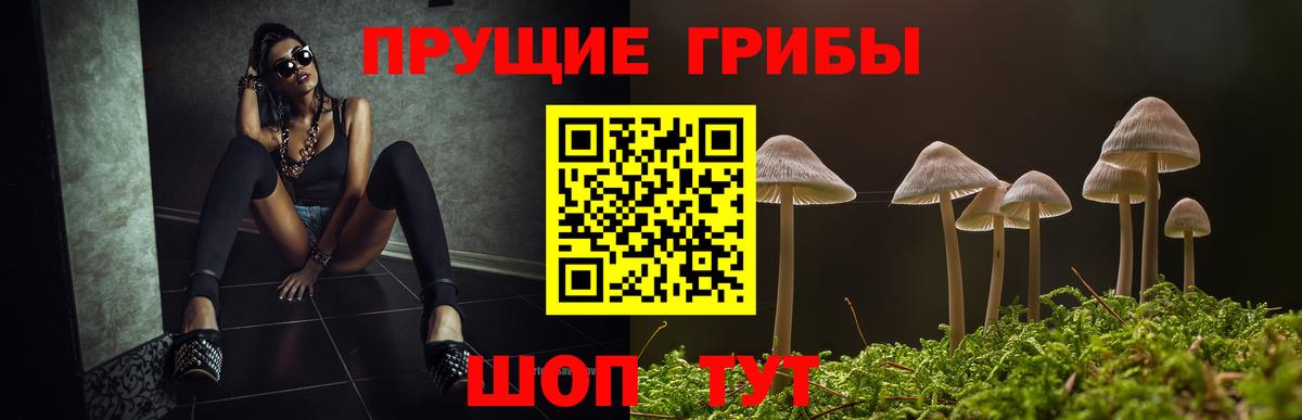 Псилоцибиновые грибы прущие грибы Амурск